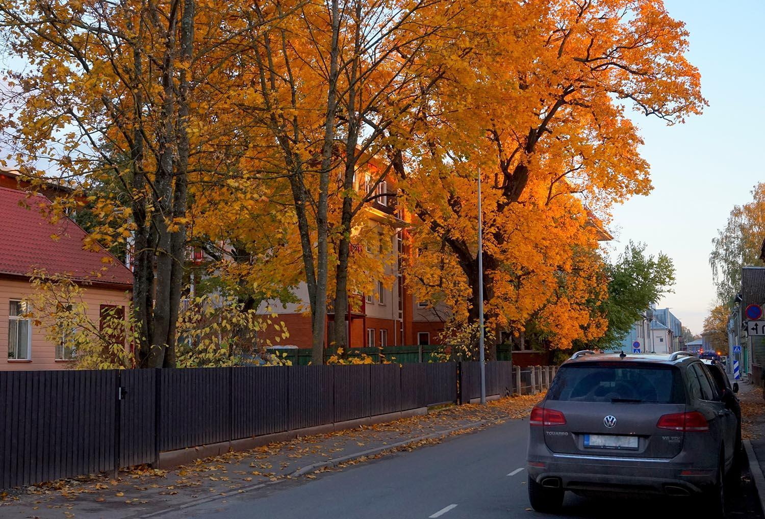 Quiet Romantic Studio Plus Parking, Tartu Home ภายนอก รูปภาพ