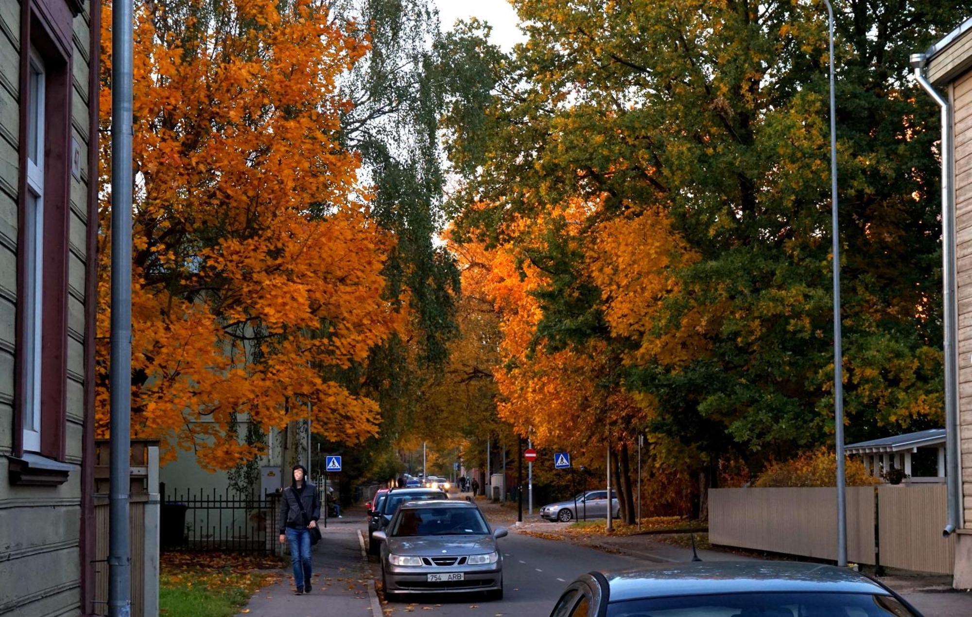 Quiet Romantic Studio Plus Parking, Tartu Home ภายนอก รูปภาพ